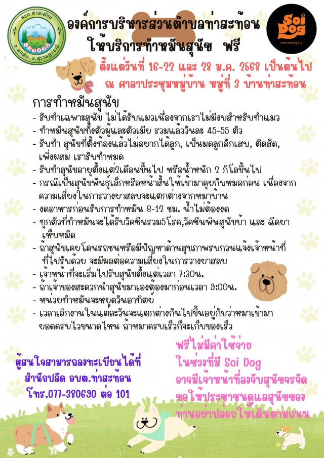 Soi Dog ทำหมันสุนัข