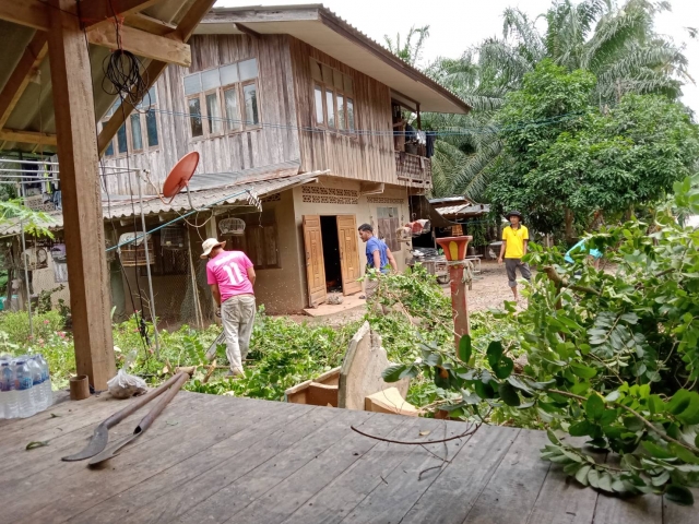 ติดกิ่งไม้