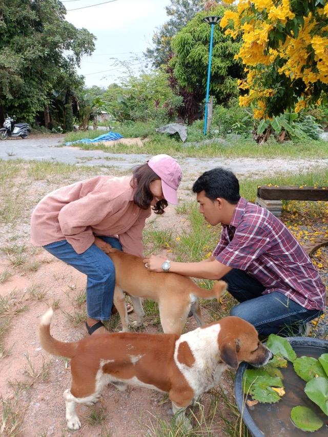 การดำเนินการโครงการสัตว์ปลอดโรค คนปลอดภัย จากโรคพิษสุนัขบ้า ประจำปีงบประมาณ พ.ศ. 2566