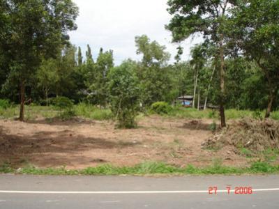 ปรับภูมิทัศน์ริมทางรถไฟ